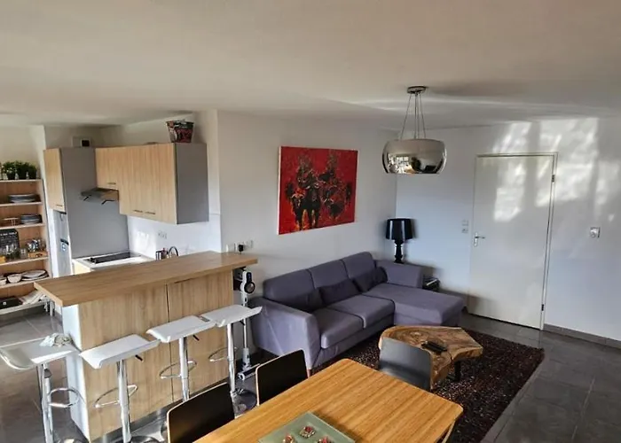 Appartement Coeur Toulousain Avec 2 Chambres