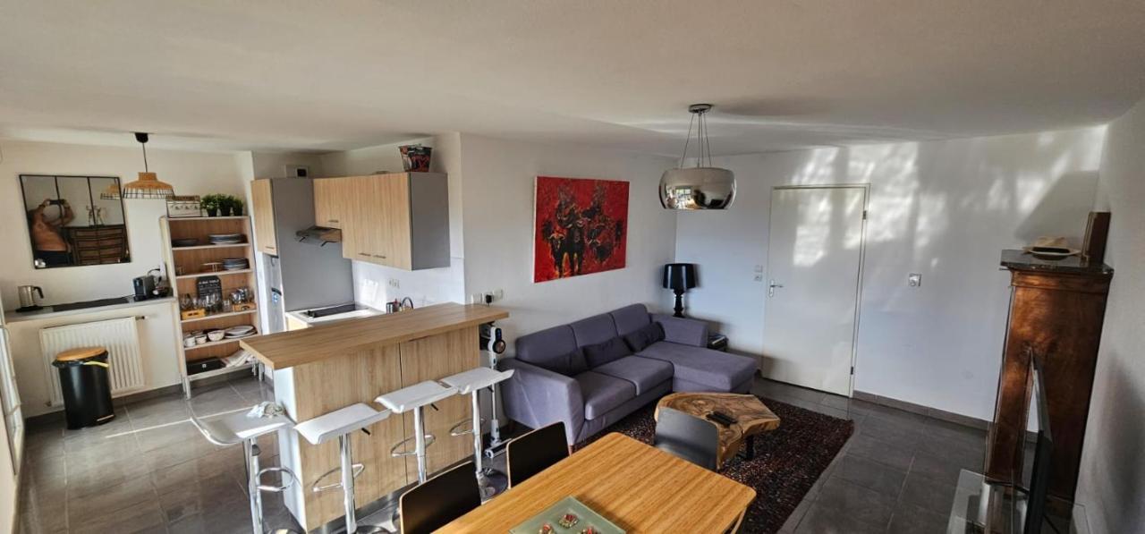 Coeur Toulousain Avec 2 * Toulouse